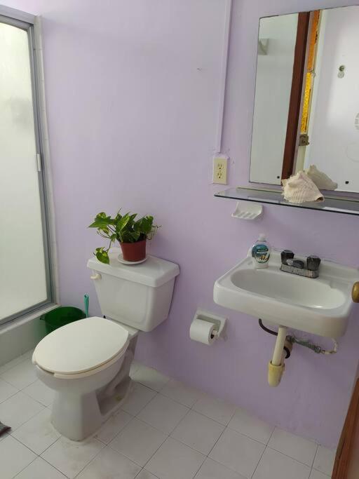 Coral Apartment Cancun Bagian luar foto